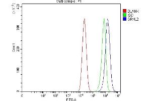 Flow Cytometry analysis of Caco-2 cells using anti-GRHL2 antibody (ABIN7599505). (GRHL2 antibody  (AA 1-625))