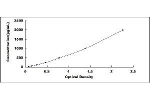 ELISA image for Brain-Derived Neurotrophic Factor (BDNF) ELISA Kit (ABIN6574127)