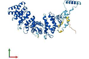 AlphaFold protein structure predicition of Mouse Recombinant Ric8a Protein, UniprotID Q3TIR3