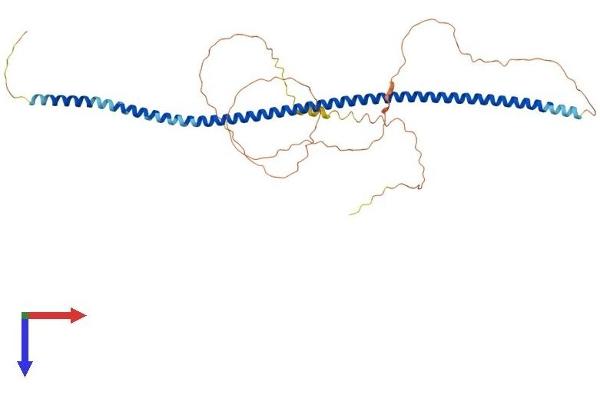 GOLM1 Protein (AA 1-393) (His tag)