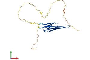 AlphaFold protein structure predicition of Human Recombinant HSPB8 Protein, UniprotID Q9UJY1 (HSPB8 Protein (AA 1-196) (His tag))