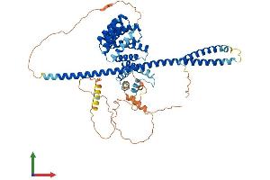 AlphaFold protein structure predicition of Mouse Recombinant Klc2 Protein, UniprotID O88448 (KLC2 Protein (AA 1-599) (His tag))