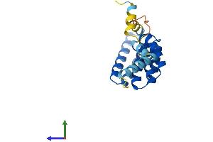 Protein Structure (PS) image for Tetratricopeptide Repeat Domain 36 (TTC36) (AA 1-189) protein (His tag) (ABIN7544907)