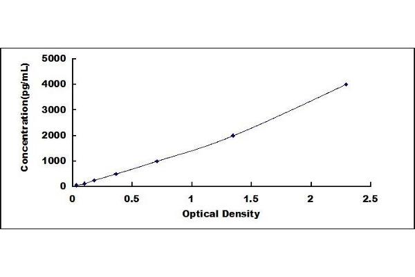 Olfactomedin 4 ELISA Kit