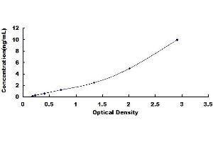 Typical standard curve (SPAM1 ELISA Kit)
