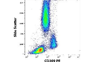Flow cytometry surface staining pattern of human peripheral whole blood stained using anti-human CD369 (15E2) PE antibody (10 μL reagent / 100 μL of peripheral whole blood). (CLEC7A antibody  (PE))