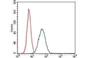 Flow cytometric analysis of MCF-7 cells using CEBPA mouse mAb (green) and negative control (red). (CEBPA antibody)