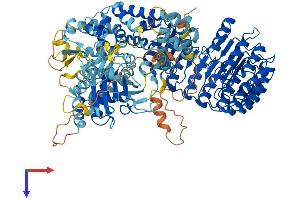 AlphaFold protein structure predicition of Mouse Recombinant Nlrp12 Protein, UniprotID E9Q5R7 (NLRP12 Protein (AA 1-1054) (His tag))