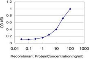 Detection limit for recombinant GST tagged SSH3 is approximately 0. (SSH3 antibody  (AA 293-391))