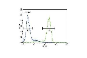 Flow Cytometry (FACS) image for anti-ATPase, Cu++ Transporting, beta Polypeptide (ATP7B) (AA 1361-1391), (C-Term) antibody (ABIN390398)
