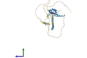 AlphaFold protein structure predicition of Human Recombinant SREK1 Protein, UniprotID Q8WXA9 (SFRS12 Protein (AA 1-508) (His tag))