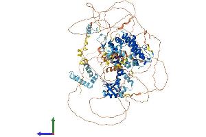 AlphaFold protein structure predicition of Human Recombinant BAG6 Protein, UniprotID P46379 (BAT3 Protein (AA 1-1132) (His tag))