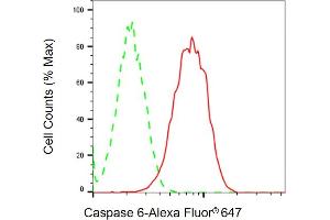 Flow cytometric analysis of Caspase 6 expression in HAP-1 cells using Caspase 6 antibody ( (ABIN7797902), 1:2,000). (Recombinant Caspase 6 antibody)