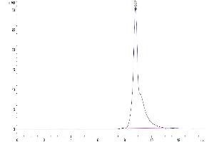 The purity of Mouse B2M is greater than 95 % as determined by SEC-HPLC. (beta-2 Microglobulin Protein (AA 21-119) (Fc Tag))