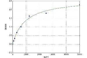 A typical standard curve (AKR7A2 ELISA Kit)