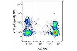 Flow Cytometry (FACS) image for anti-5'-Nucleotidase, Ecto (CD73) (NT5E) antibody (FITC) (ABIN2661418) (CD73 antibody  (FITC))