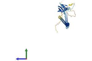 Protein Structure (PS) image for Breast Cancer Metastasis-Suppressor 1-Like (BRMS1L) (AA 1-323) protein (His tag) (ABIN7552846)