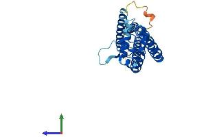 AlphaFold protein structure predicition of Human Recombinant TSPAN5 Protein, UniprotID P62079