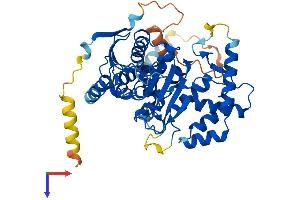Abhydrolase Domain Containing 16B (ABHD16B) (AA 1-469) protein (His tag)