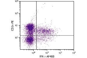 PMA and ionomycin stimulated BALB/c mouse splenocytes were stained with Rat Anti-Mouse CD3ε-PE. (Interferon gamma antibody)