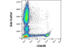 CD8 antibody  (PE)