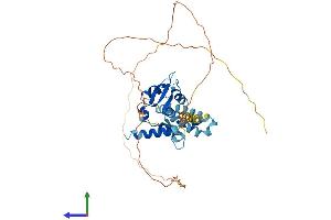 AlphaFold protein structure predicition of Human Recombinant MAGEB6 Protein, UniprotID Q8N7X4 (MAGEB6 Protein (AA 1-407) (His tag))