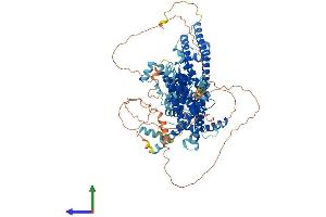 Protein Structure (PS) image for Transient Receptor Potential Cation Channel, Subfamily C, Member 4 (TRPC4) (AA 1-974) protein (His tag) (ABIN7565130)