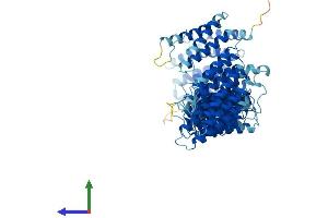 AlphaFold protein structure predicition of Human Recombinant VPS35 Protein, UniprotID Q96QK1