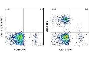 Image no. 1 for anti-CD5 (CD5) antibody (FITC) (ABIN475678) (CD5 antibody  (FITC))