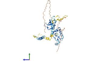 Protein Structure (PS) image for Sarcoglycan, epsilon (SGCE) (AA 1-437) protein (His tag) (ABIN7562523)