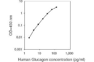 ELISA image for Glucagon (GCG) ELISA Kit (ABIN2703058)