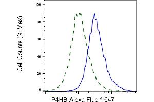 Validation of P4HB knockdown using flow cytometry. (P4HB antibody)