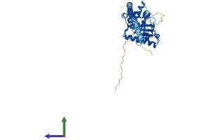 AlphaFold protein structure predicition of Human Recombinant GIMAP2 Protein, UniprotID Q9UG22 (GIMAP2 Protein (AA 1-337) (His tag))