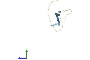 Protein Structure (PS) image for Dystrobrevin Binding Protein 1 (DTNBP1) (AA 1-352) protein (His tag) (ABIN7564805)