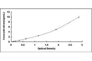 Typical standard curve (RALBP1 ELISA Kit)