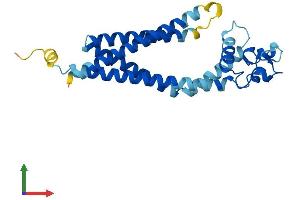 Protein Structure (PS) image for Tetraspanin 3 (TSPAN3) (AA 1-253) protein (His tag) (ABIN7561776)