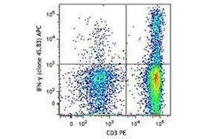 Flow Cytometry (FACS) image for anti-Interferon gamma (IFNG) antibody (APC) (ABIN2658765) (Interferon gamma antibody  (APC))