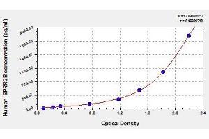 Typical standard curve (Small Proline-Rich Protein 2B (SPRR2B) ELISA Kit)
