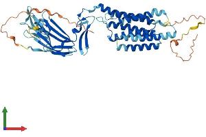 Protein Structure (PS) image for Transmembrane Protein 8B (TMEM8B) (AA 1-472) protein (His tag) (ABIN7544463)