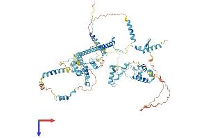 KRI1 Homolog (KRI1) (AA 1-703) protein (His tag)