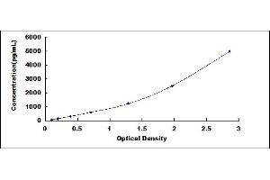 Typical standard curve (HSPD1 ELISA Kit)