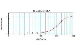 Image no. 1 for anti-Glial Cell Line Derived Neurotrophic Factor (GDNF) antibody (ABIN465722) (GDNF antibody)