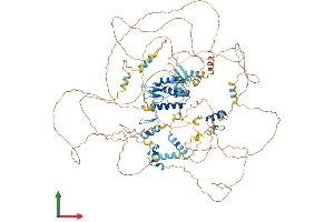 AlphaFold protein structure predicition of Human Recombinant TSHZ1 Protein, UniprotID Q6ZSZ6