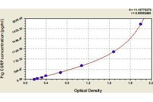Typical Standard Curve (CGRP ELISA Kit)