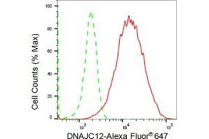 Flow cytometric analysis of DNAJC12 expression in HeLa cells using DNAJC12 antibody (ABIN7798376), 1:2,000). (Recombinant DNAJC12 antibody)