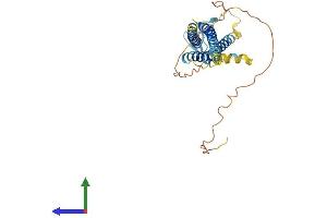 AlphaFold protein structure predicition of Mouse Recombinant Cacng3 Protein, UniprotID Q9JJV5