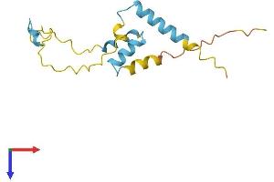 Chromosome 3 Open Reading Frame 22 (C3orf22) (AA 1-141) protein (His tag)
