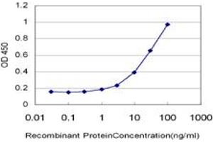 Detection limit for recombinant GST tagged HUNK is approximately 1ng/ml as a capture antibody. (HUNK antibody  (AA 615-714))
