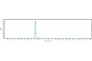 anti-CLDN18.2 (Zolbetuximab Biosimilar) antibody