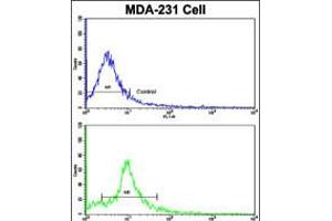 Flow cytometric analysis of MDA-231 cells using (bottom histogram) compared to a negative control cell (top histogram).